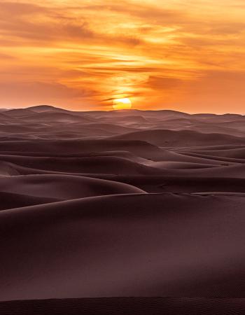 Sonnenuntergang in der Sahara #3776