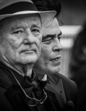 Bill Murray & Benicio del Toro