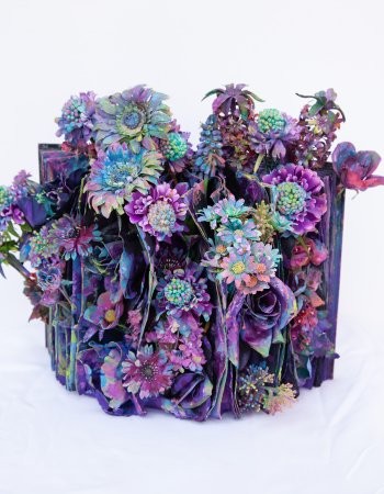 Blumen Violett
