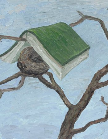 Buch Bilder 10