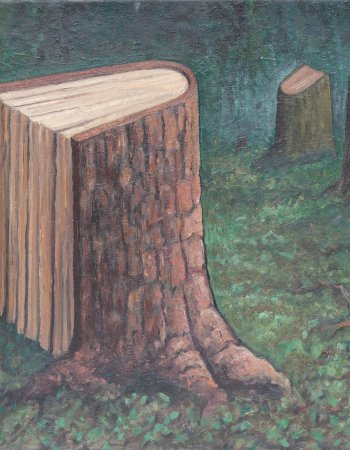 Buch Bilder 11