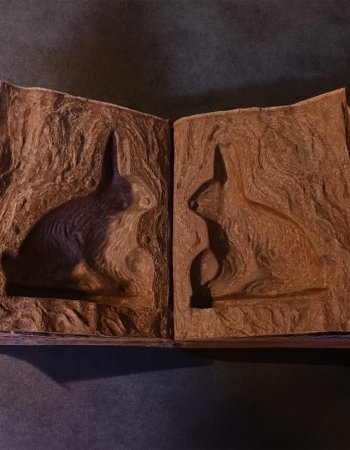 Hasenbuch