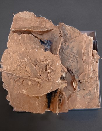 Sandrosenbuch