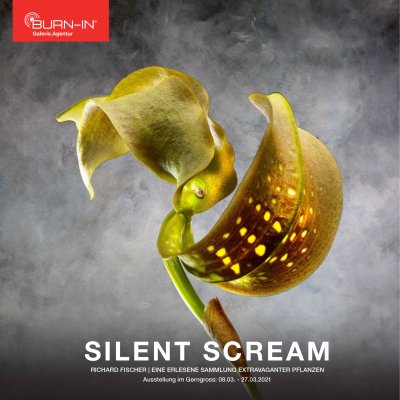 Silent Scream | Richard Fischer Cover Image