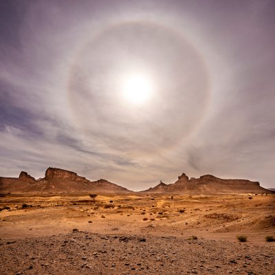 Korona in der Westsahara