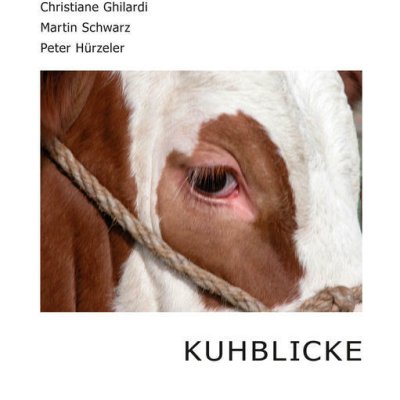 Kuhblicke