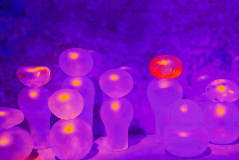 Glass People 2