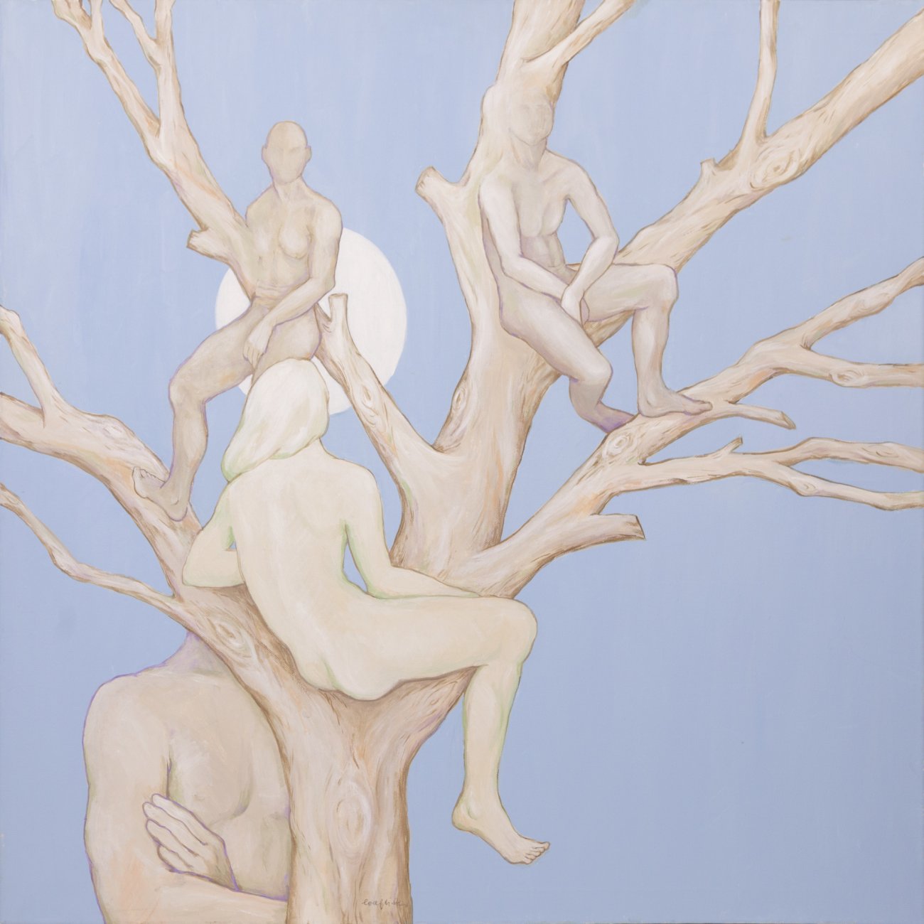 nachtaktive Baumbewohner