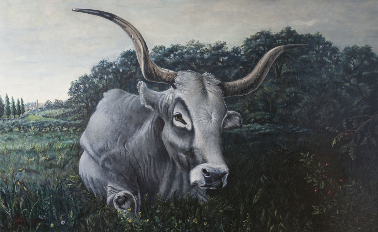 Boškarin und Baraboškula