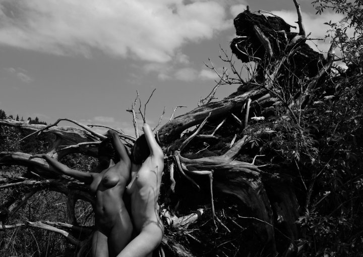 Body Sceneries VII