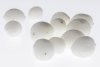 Samenbank 54 | Bild No.: 307