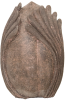 Knospe