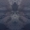 Eisblume #134022