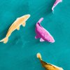 Schickimicki-Fische