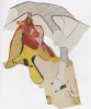 Post-Suprematistische Datenblatt 42