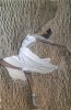 Ballerina beige