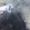Codierter Pfad: Kein Zurück