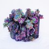 Blumen Violett