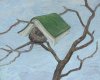 Buch Bilder 10