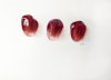 Punica granatum | Granatapfelkerne