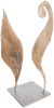 HIPPOCAMPE