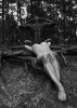Body Sceneries X