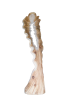 Le spine di Rosa