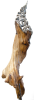 Szep o.T. 5