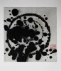 sssplotch