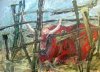 Stier im Käfig
