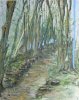 Waldweg
