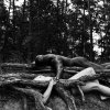 Body Sceneries I SMALL - Unverkäuflich