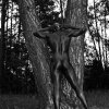 Body Sceneries VI