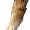 Szep o.T. 5