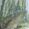 Waldweg